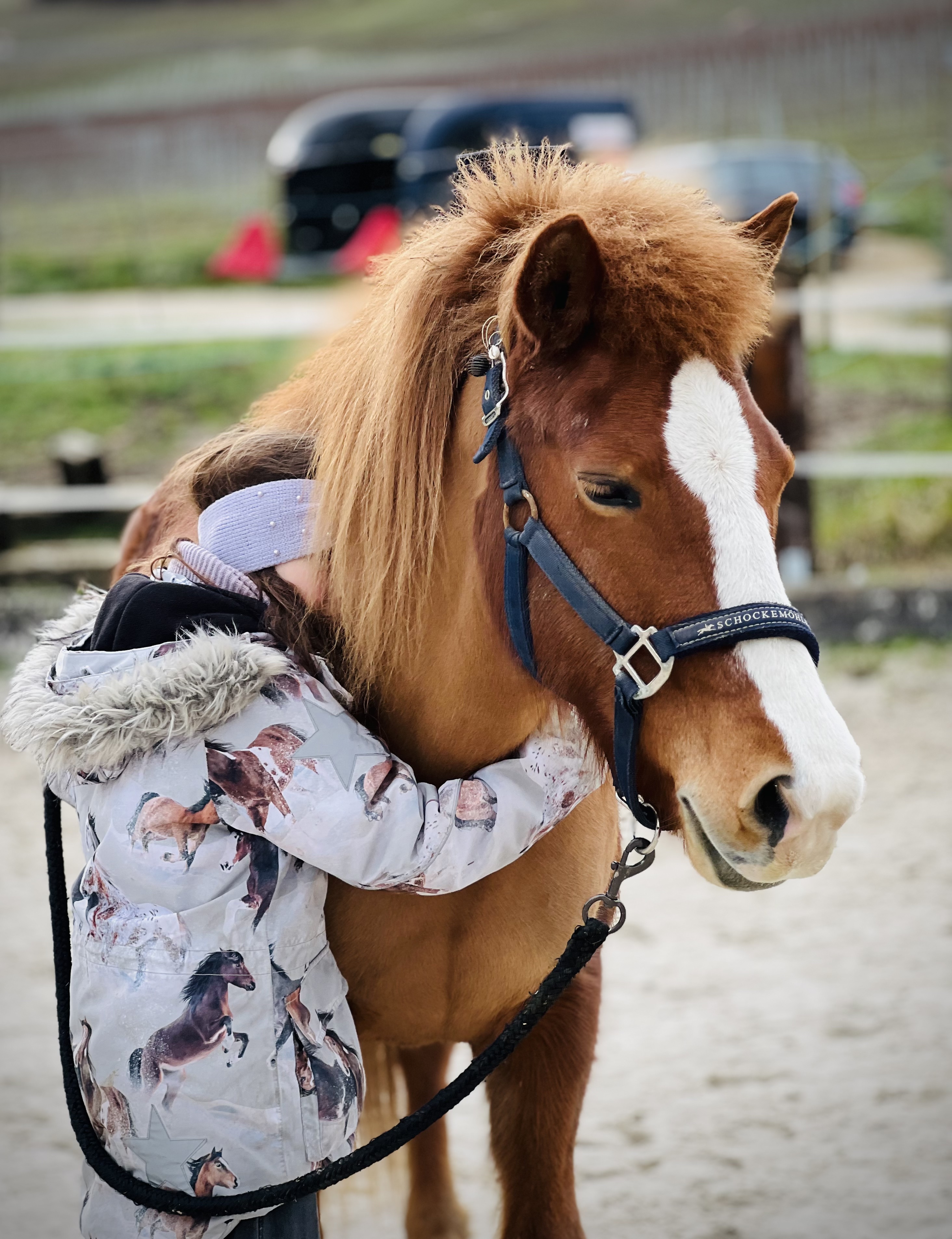 enfant_poney_therapie-equine.ch