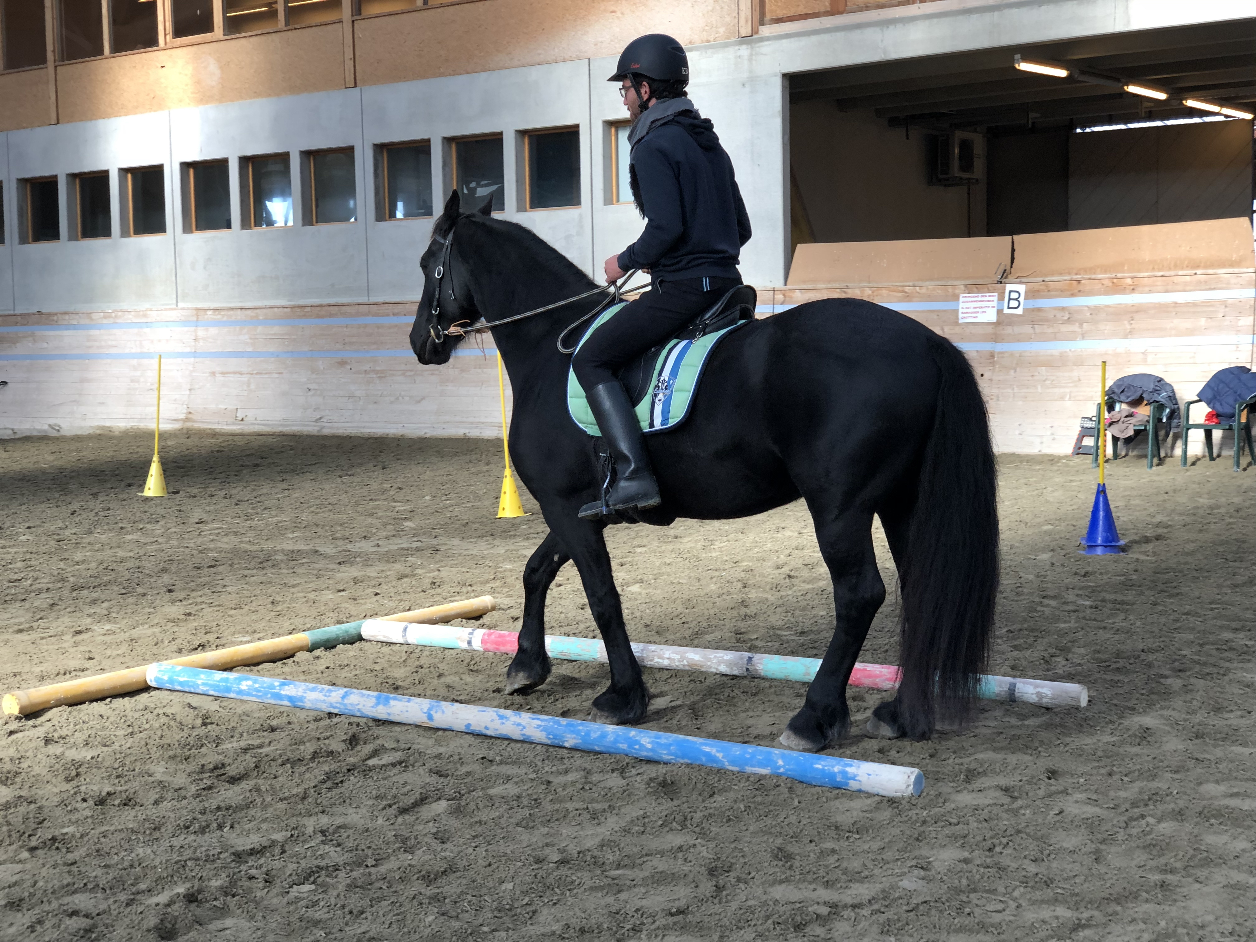 exercice.therapie-equine.ch