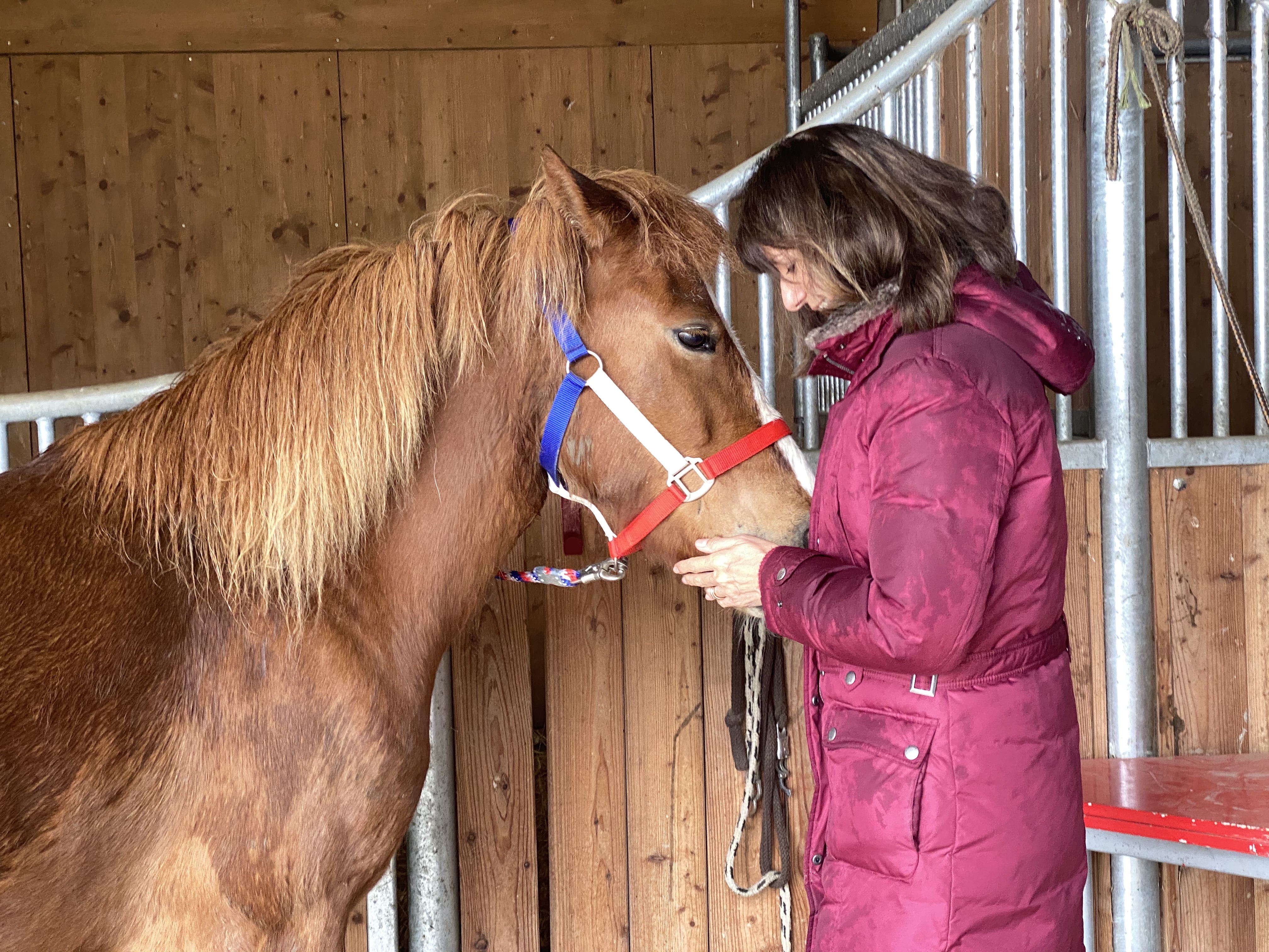 femme.cheval.therapie-equine.ch