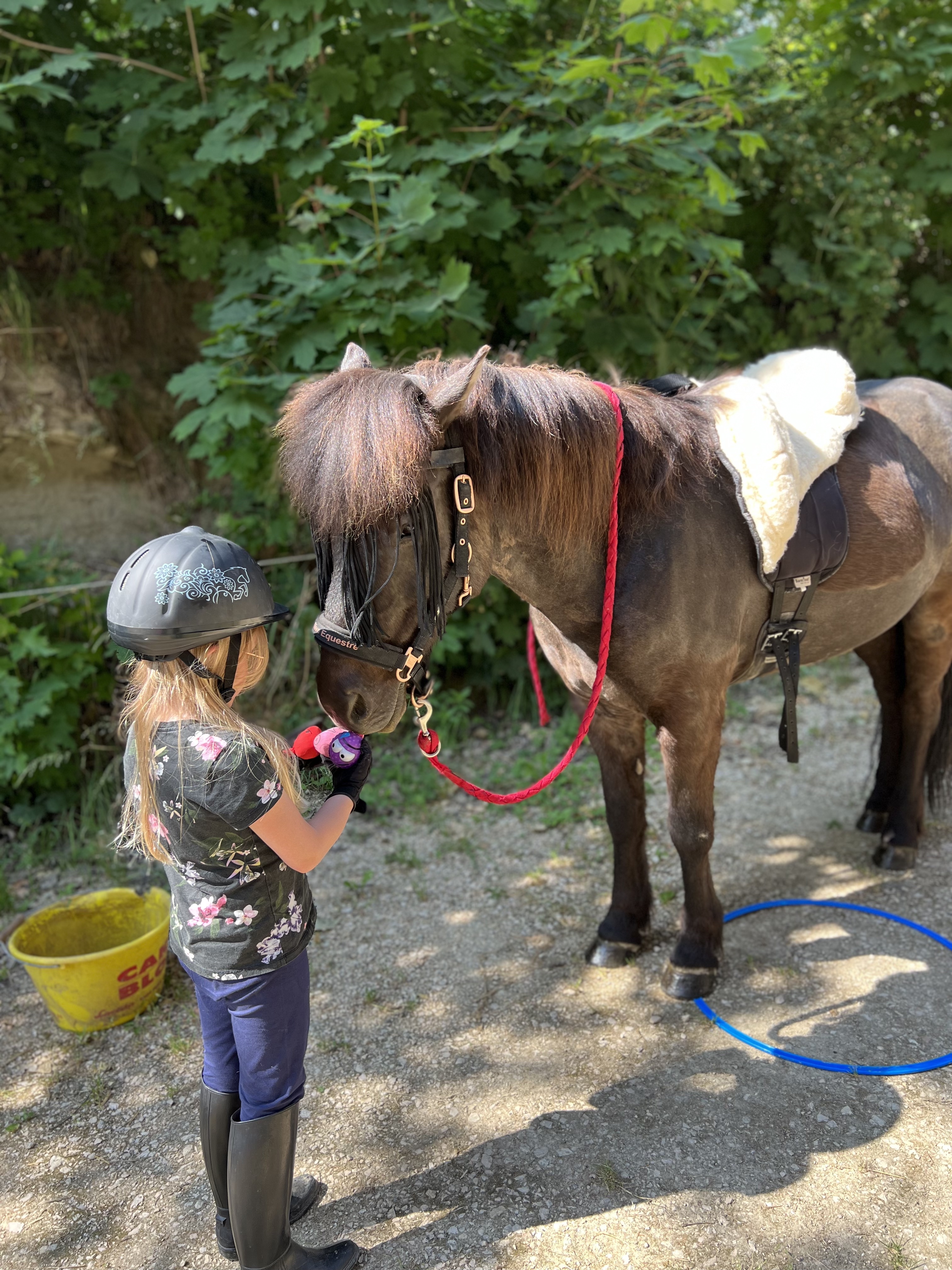 therapie-equine.ch:poney:enfant:jeux