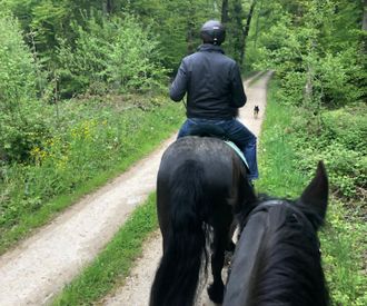 balade-cheval-therapie-equine.ch