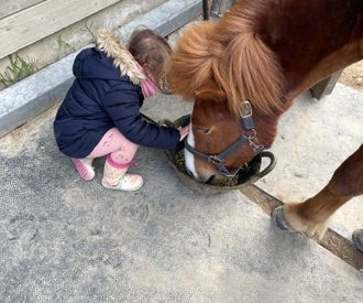 enfant.cheval.therapie-equine.ch