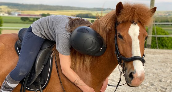 therapie-cheval/therapie-equine.ch