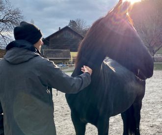 homme.cheval.therapie-equine.ch