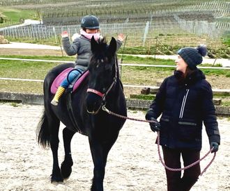 joie.therapie-equine.ch