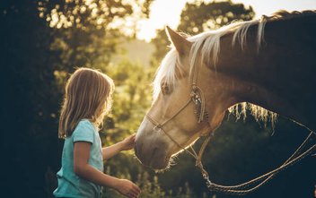 cheval-enfant/therapie-equine.ch