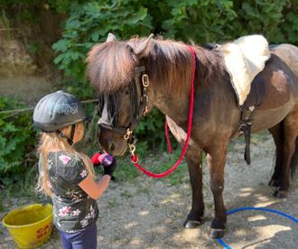 therapie-equine.ch:poney:enfant:jeux
