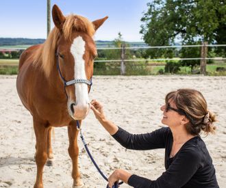 therapie_equine.ch-contact